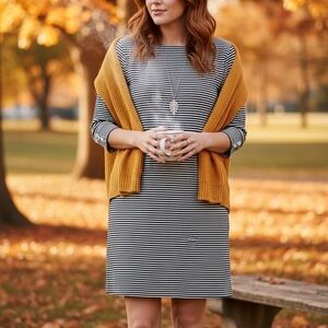 Banana Republic Dress Medium Navy Blue Stripe 3/4 Sleeve Boat Neck Preppy